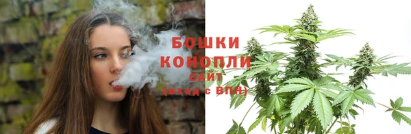 PSILOCYBIN Бородино