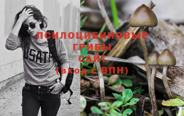 PSILOCYBIN Бородино