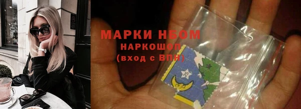 PSILOCYBIN Бородино
