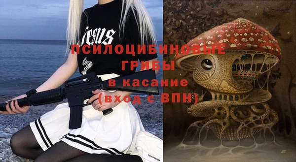 PSILOCYBIN Бородино
