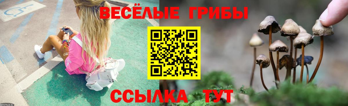 Галлюциногенные грибы Psilocybe  Вход с VPN  Выборг 